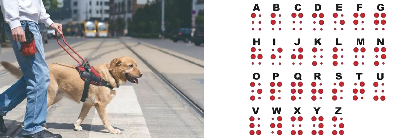 詳細圖-1.jpg 詳細圖-1.jpg